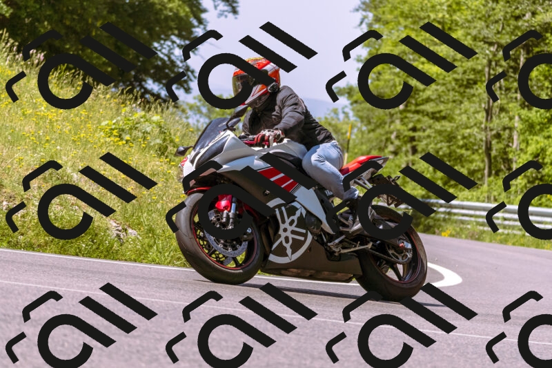 202506081116-_DSC8414_d1_