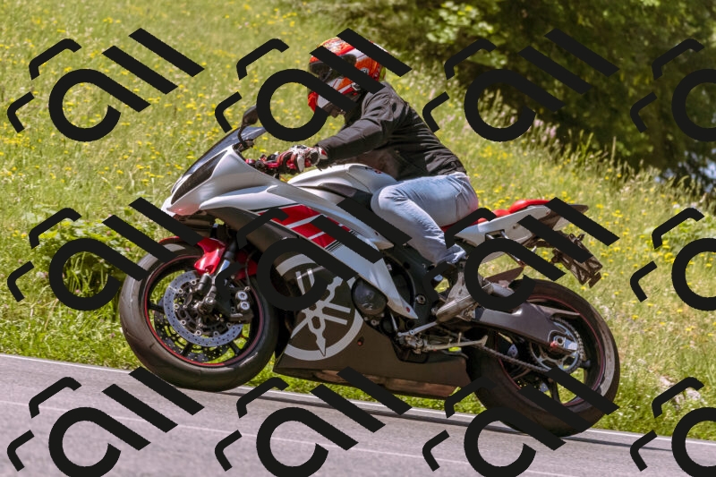 202506081116-_DSC8415_d1_