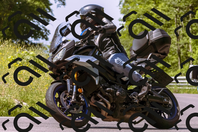 202506081117-_DSC8424_d1_