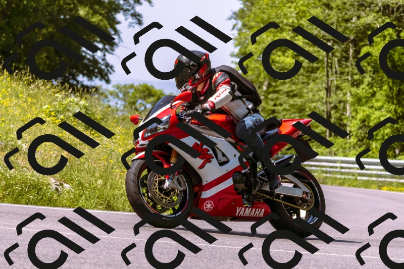 202506081117-_DSC8430_d1_