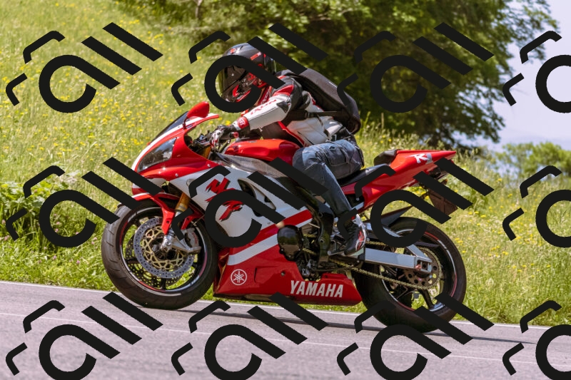 202506081117-_DSC8431_d1_