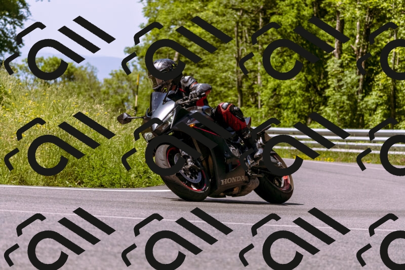 202506081122-_DSC8439_d1_