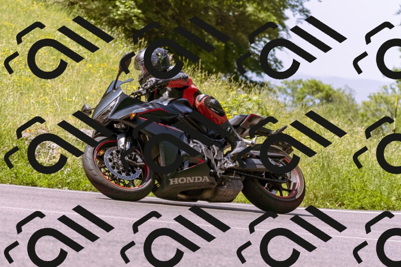 202506081122-_DSC8440_d1_