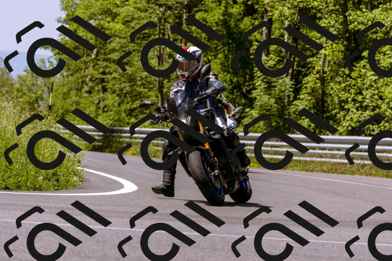 202506081123-_DSC8444_d1_