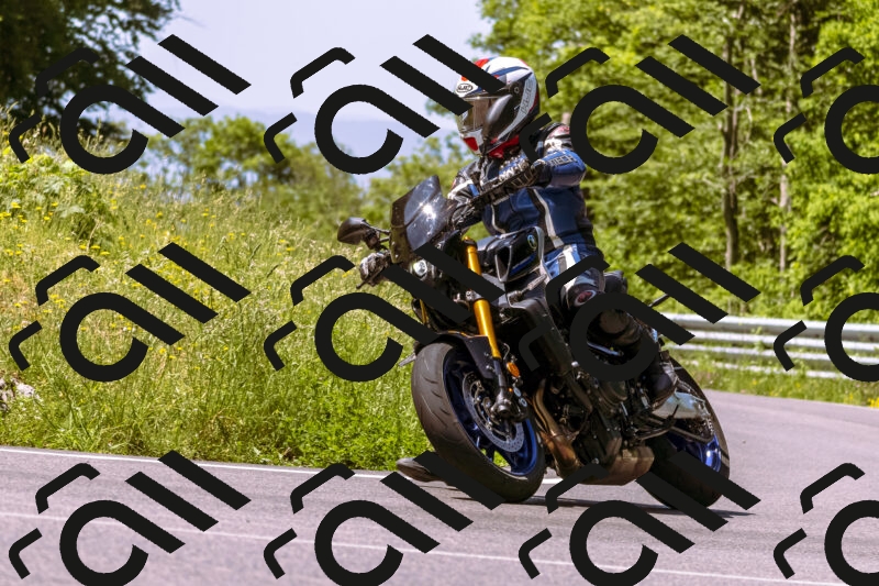 202506081123-_DSC8445_d1_