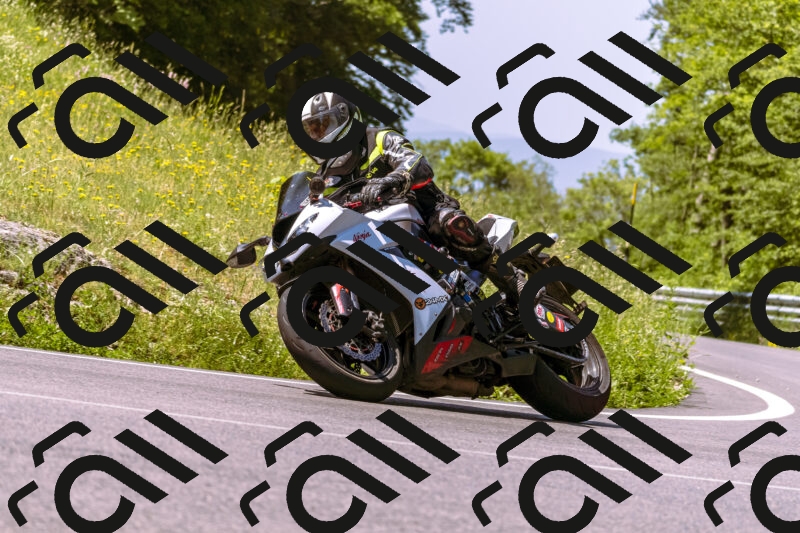 202506081123-_DSC8447_d1_