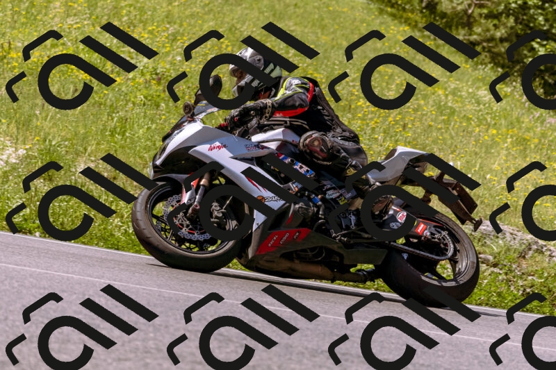 202506081123-_DSC8448_d1_