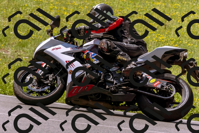 202506081123-_DSC8449_d1_