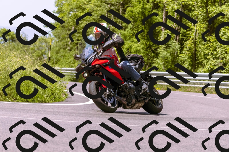 202506081123-_DSC8450_d1_