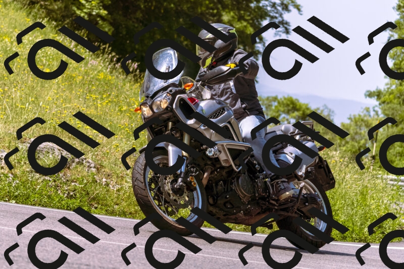 202506081123-_DSC8457_d1_