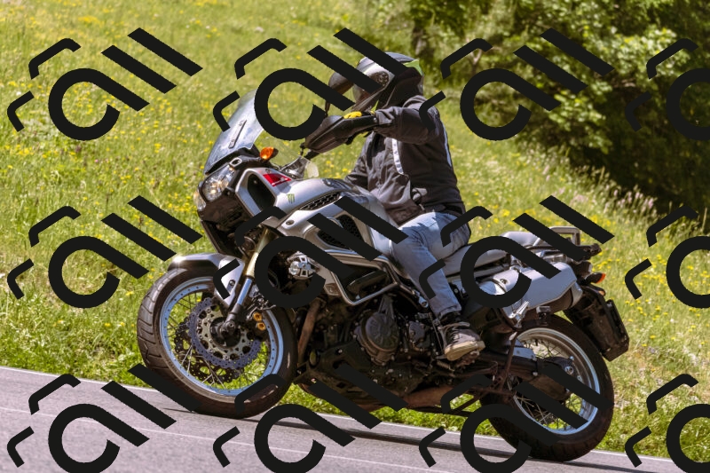 202506081123-_DSC8458_d1_