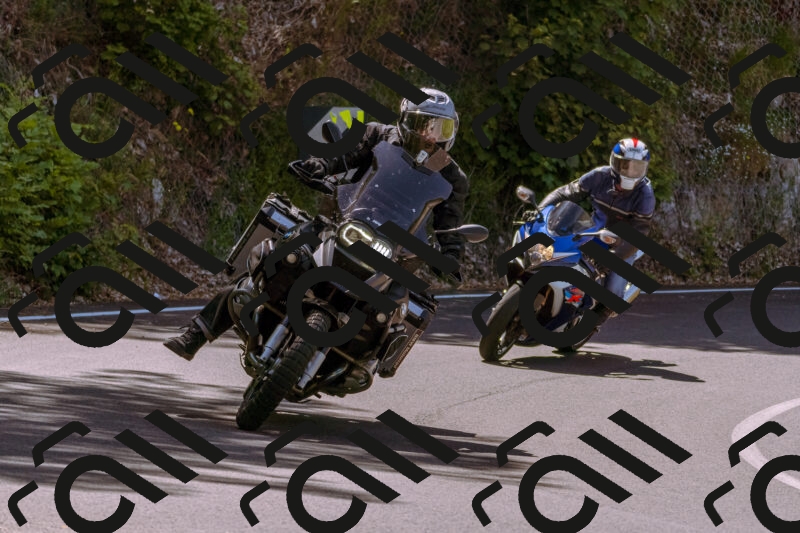 202506081124-_DSC8460_d1_