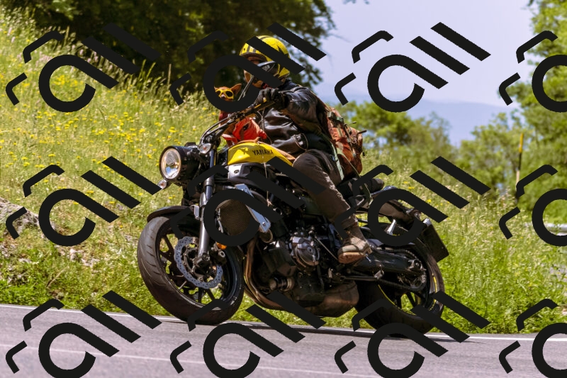 202506081125-_DSC8465_d1_