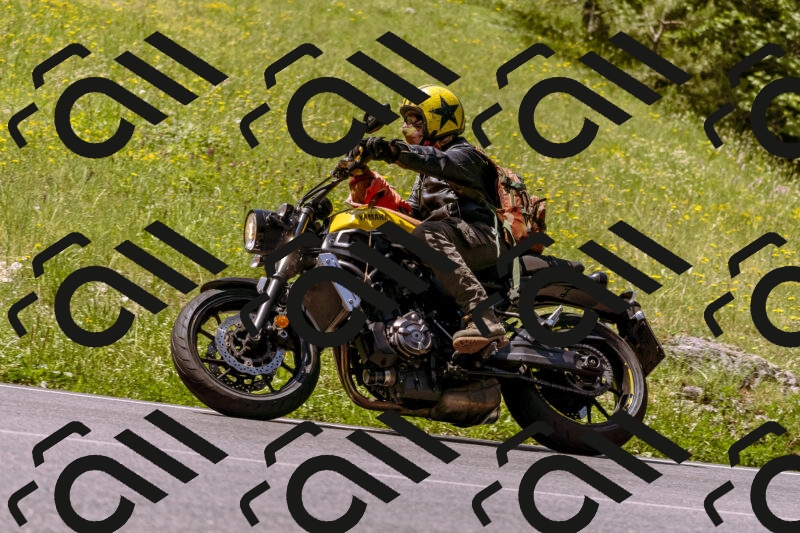 202506081125-_DSC8466_d1_