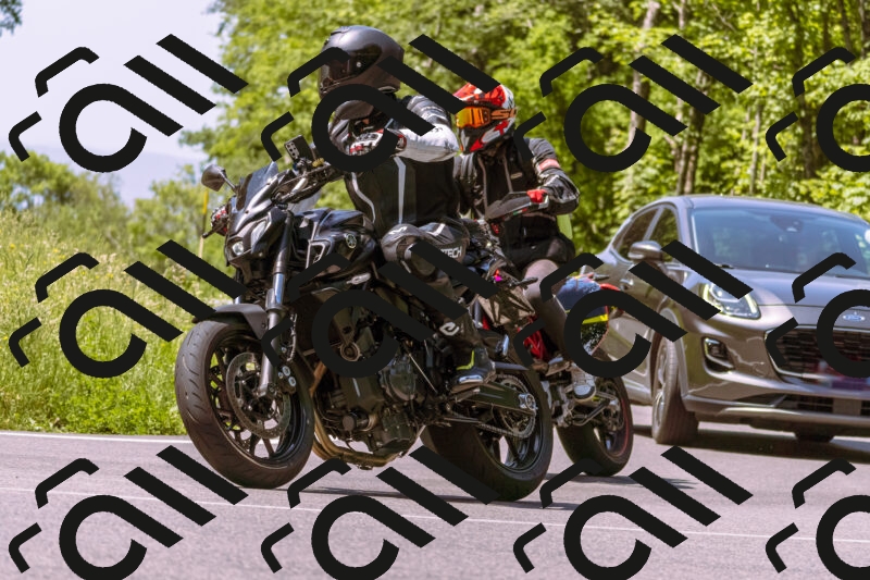 202506081127-_DSC8471_d1_