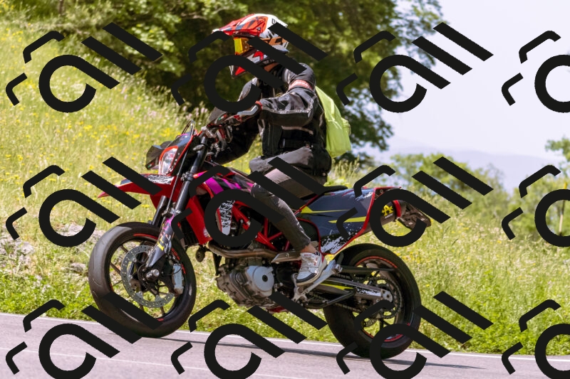 202506081127-_DSC8472_d1_