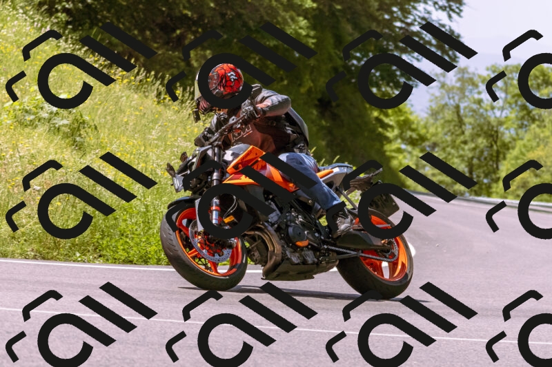 202506081130-_DSC8480_d1_