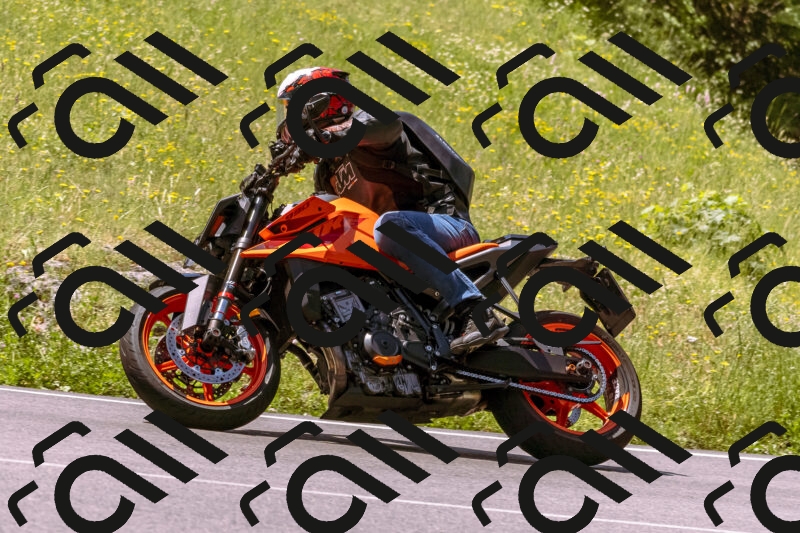 202506081130-_DSC8481_d1_