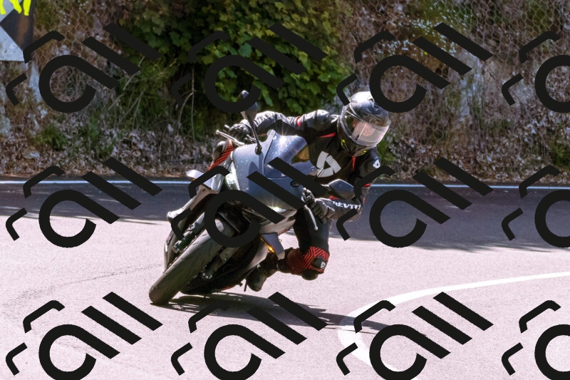 202506081135-_DSC8483_d1_