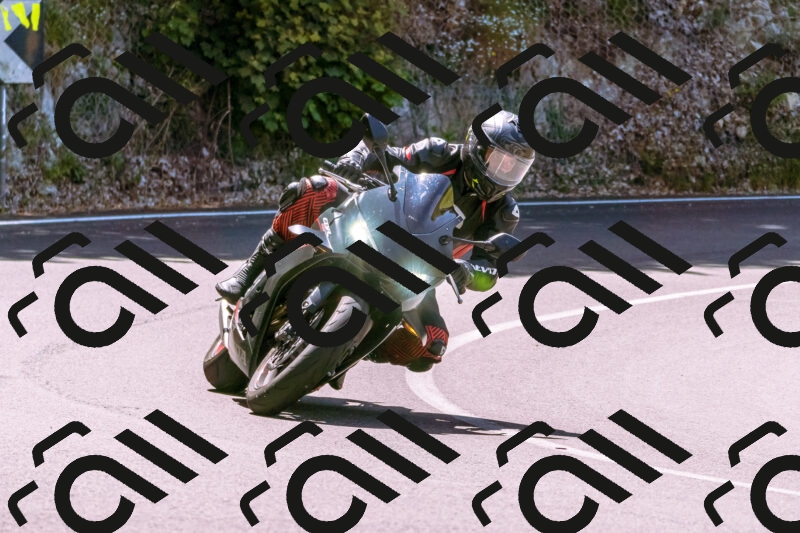 202506081135-_DSC8484_d1_