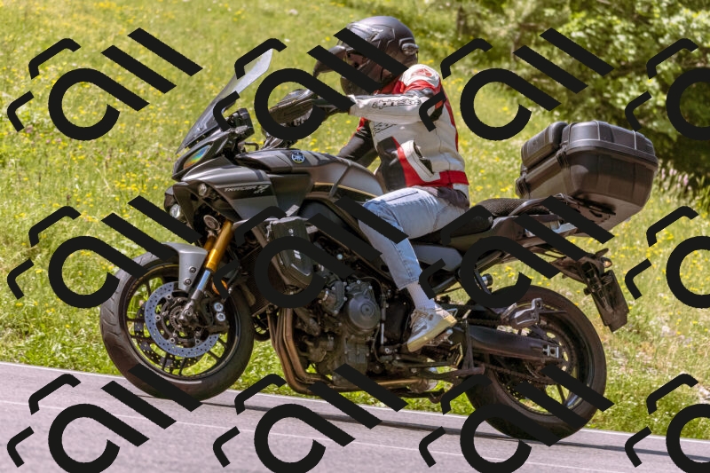 202506081136-_DSC8486_d1_