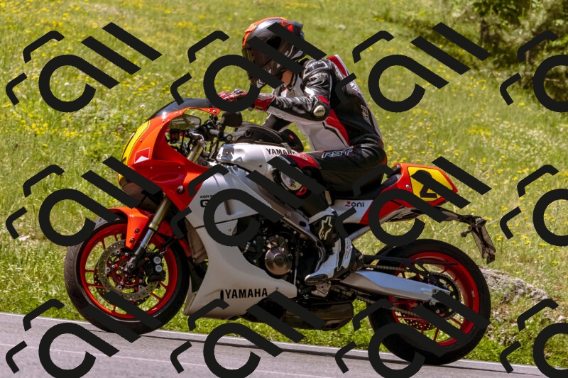 202506081137-_DSC8492_d1_