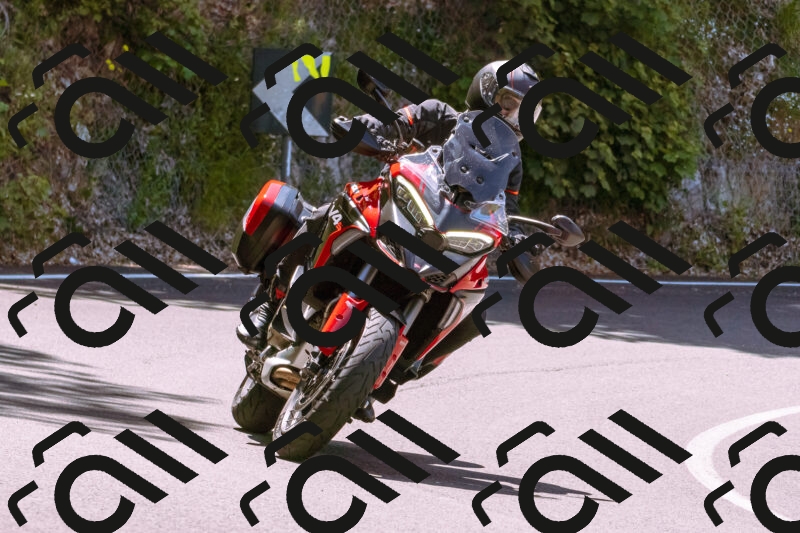 202506081137-_DSC8493_d1_