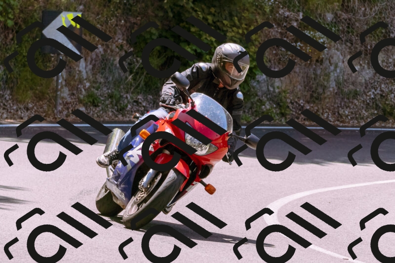 202506081138-_DSC8497_d1_