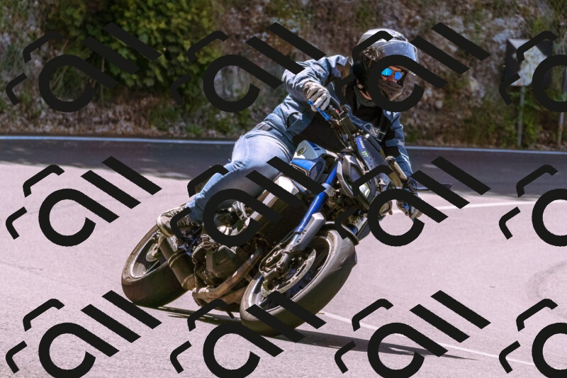 202506081138-_DSC8499_d1_