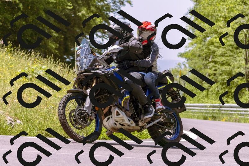 202506081143-_DSC8502_d1_