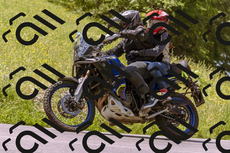 202506081143-_DSC8503_d1_