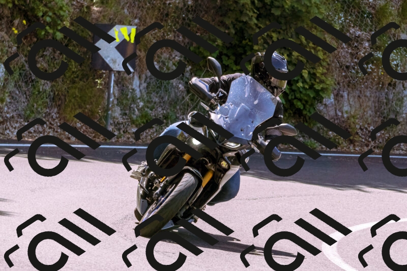 202506081145-_DSC8505_d1_