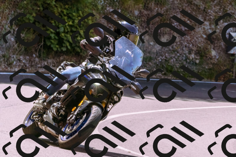 202506081145-_DSC8506_d1_