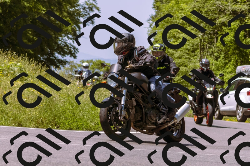 202506081148-_DSC8528_d1_