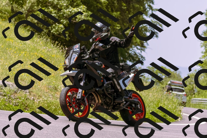 202506081148-_DSC8531_d1_