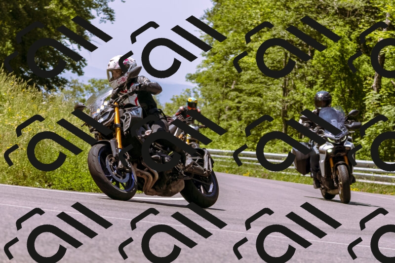 202506081148-_DSC8537_d1_