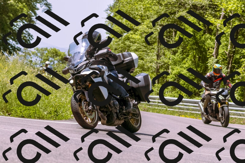 202506081148-_DSC8538_d1_