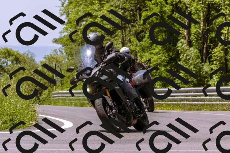 202506081148-_DSC8542_d1_