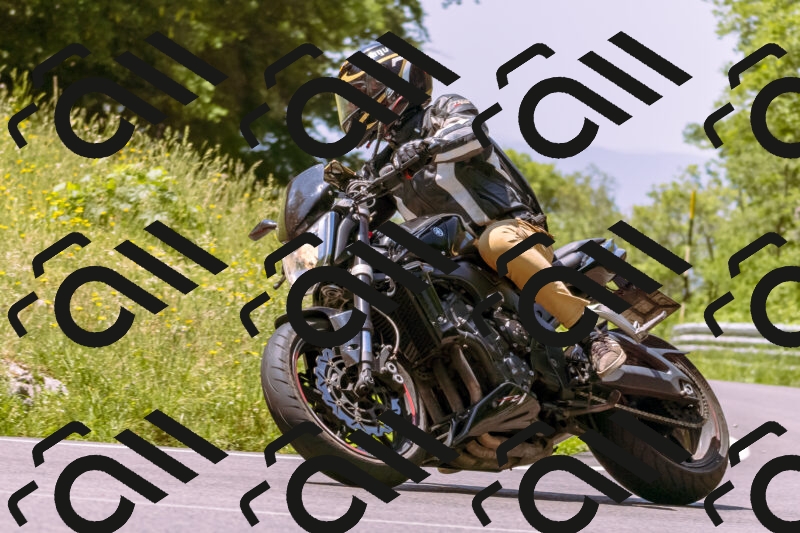 202506081149-_DSC8548_d1_