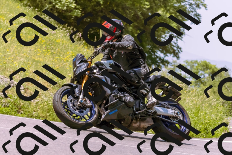 202506081149-_DSC8552_d1_