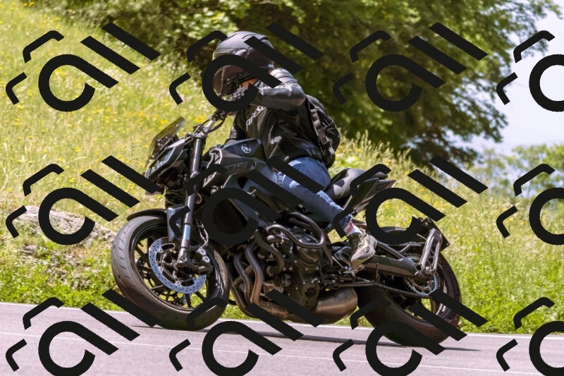 202506081149-_DSC8553_d1_