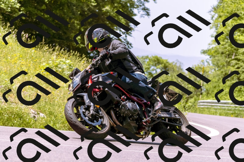 202506081149-_DSC8555_d1_