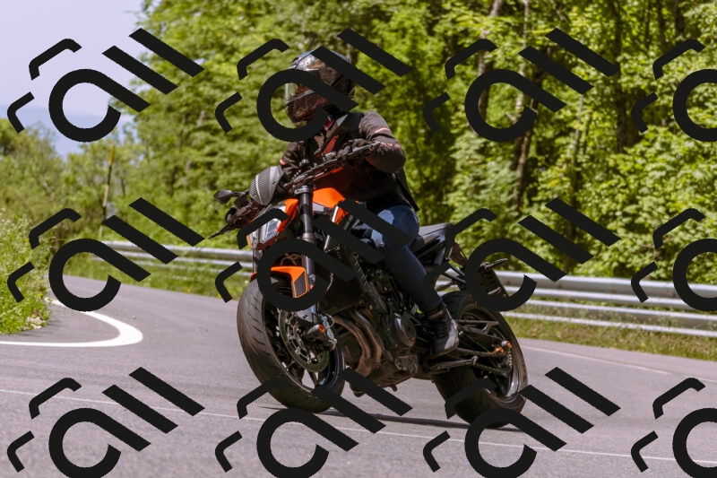 202506081150-_DSC8561_d1_