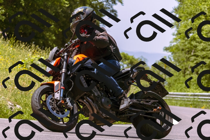 202506081150-_DSC8562_d1_