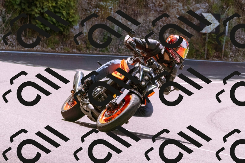 202506081150-_DSC8564_d1_