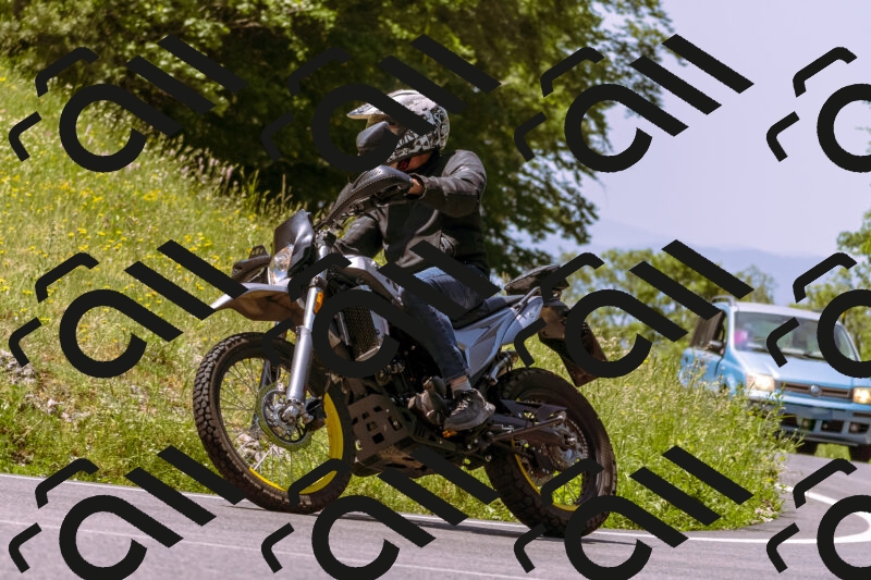 202506081150-_DSC8566_d1_