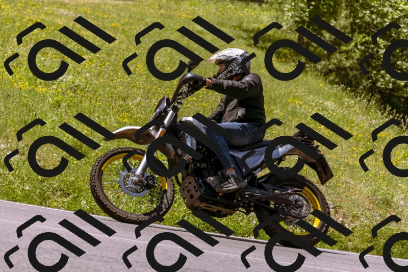 202506081150-_DSC8567_d1_