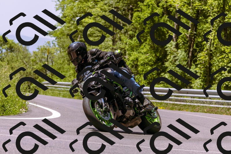 202506081151-_DSC8568_d1_