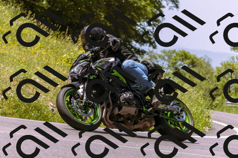 202506081151-_DSC8569_d1_