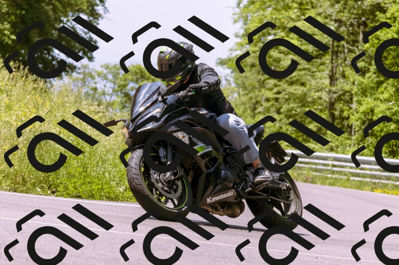 202506081151-_DSC8570_d1_